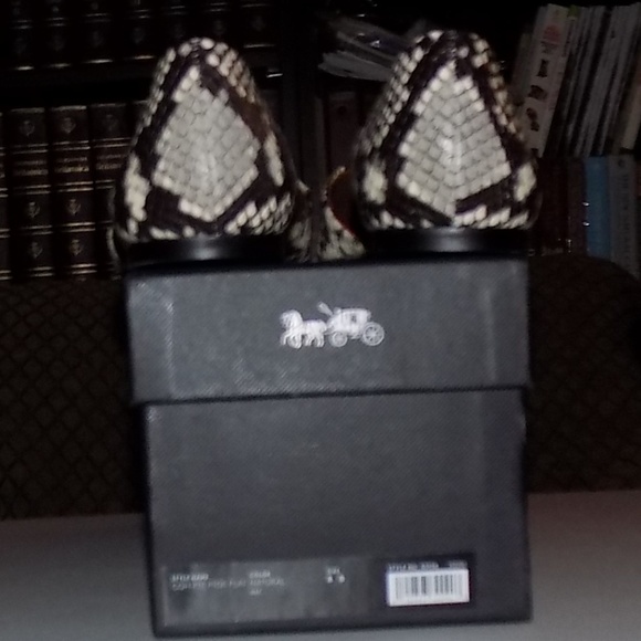 New Coach Python leather D’Orsays - Picture 8 of 8